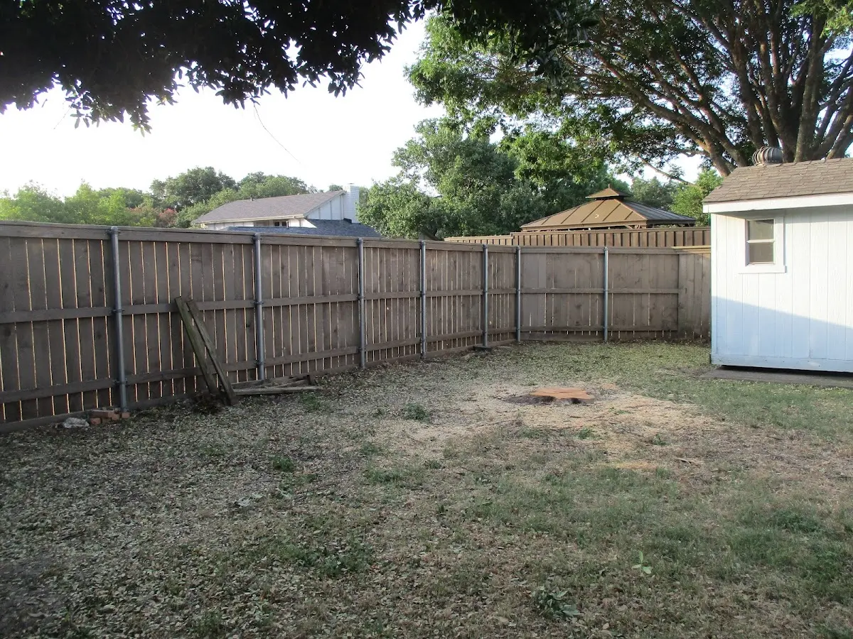 Cleared yard after professional tree removal in East Longmeadow